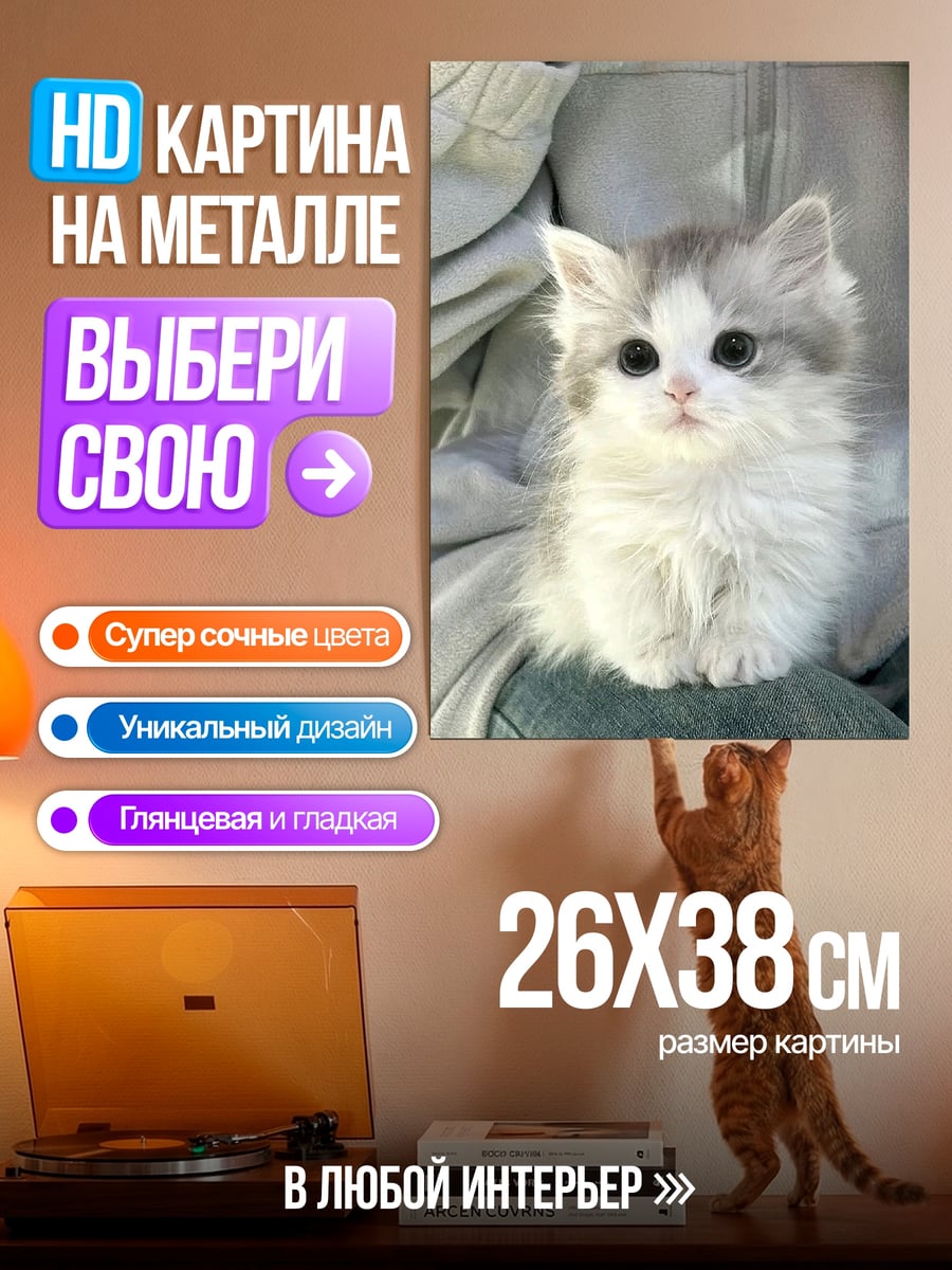 Картина на металле Пушистый котенок