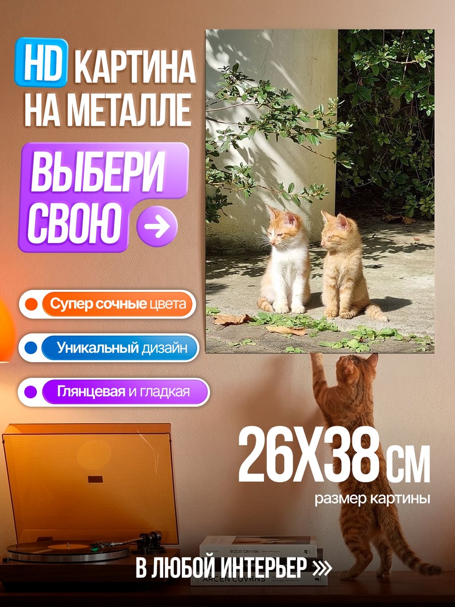 Картина на металле Два котенка на солнце