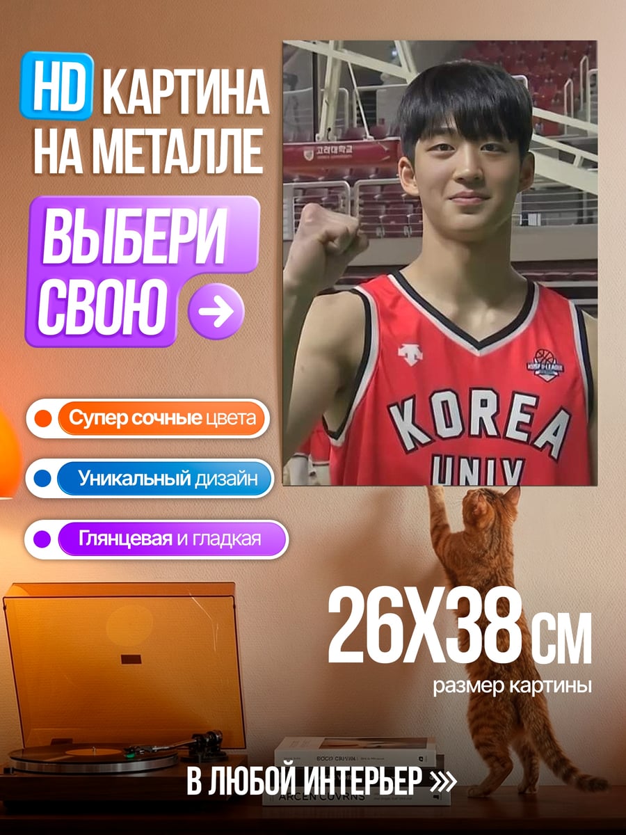 Картина на металле Баскетболист из Кореи
