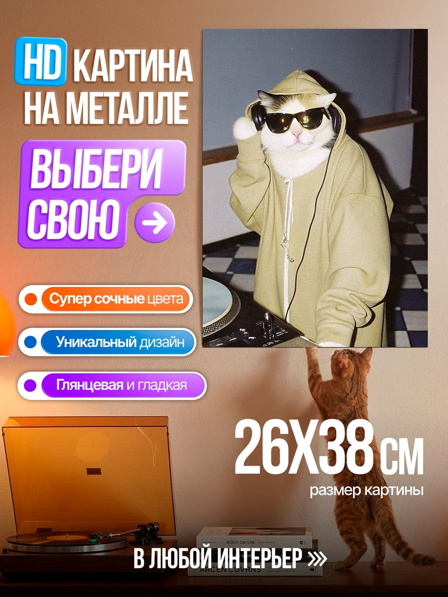 Картина на металле Кот диджей