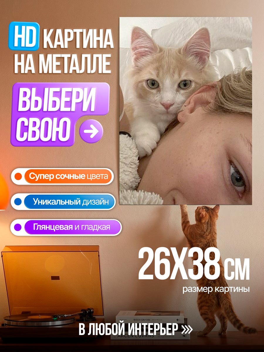 Картина на металле Кот на голове