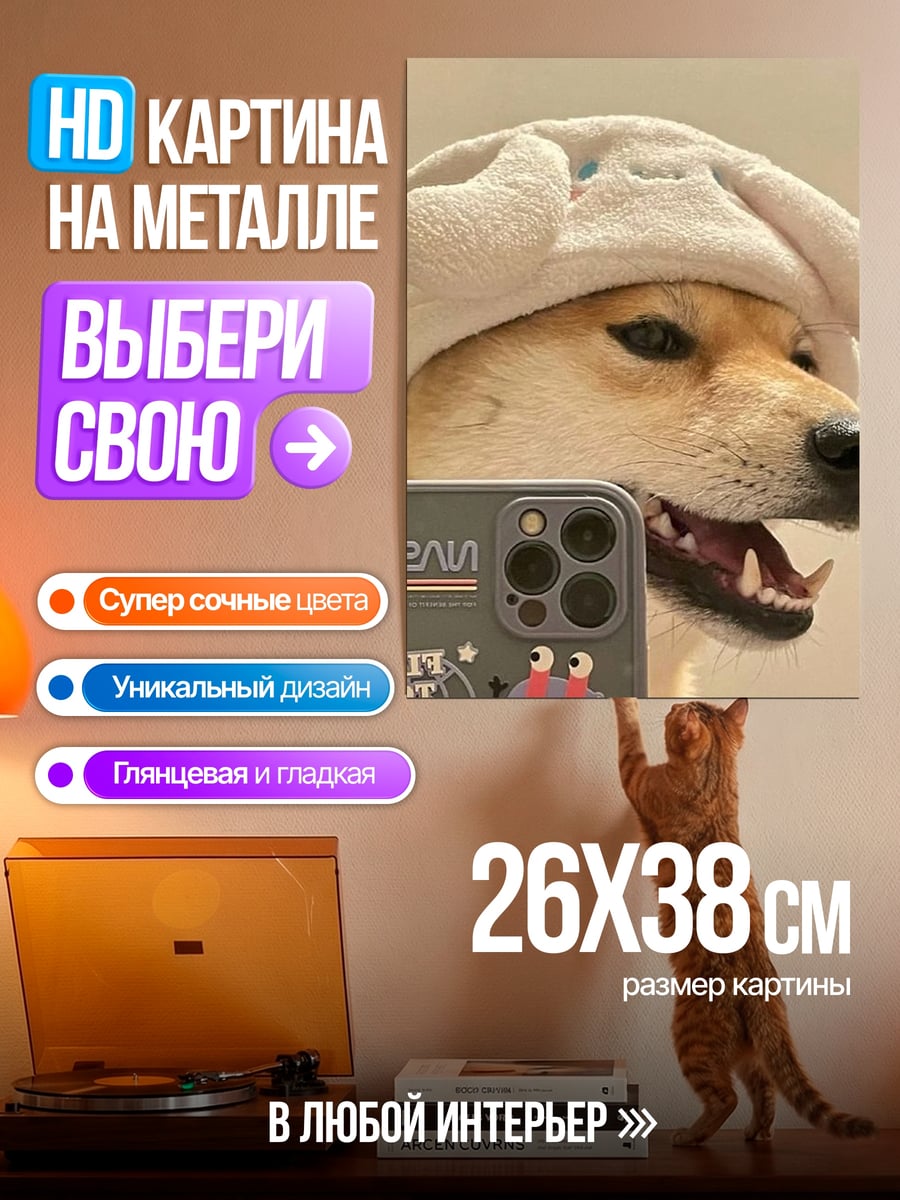 Картина на металле Шиба ину в шапке