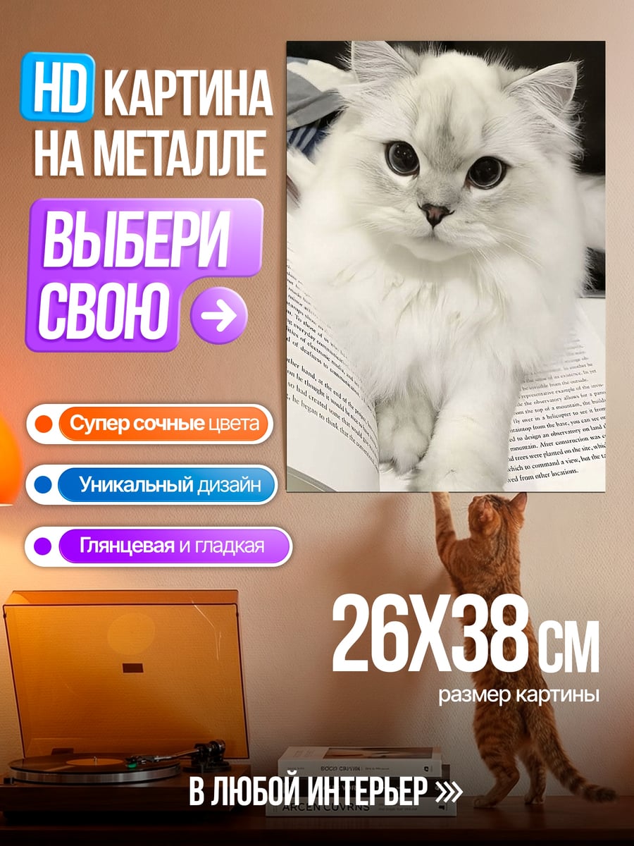 Картина на металле Белый пушистый кот