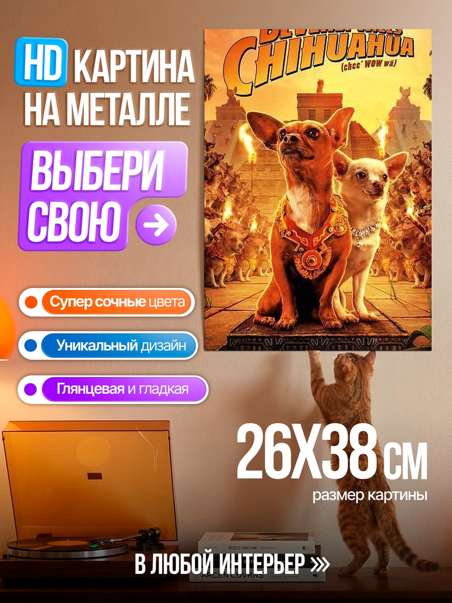 Картина на металле Чихуахуа Беверли Хиллз