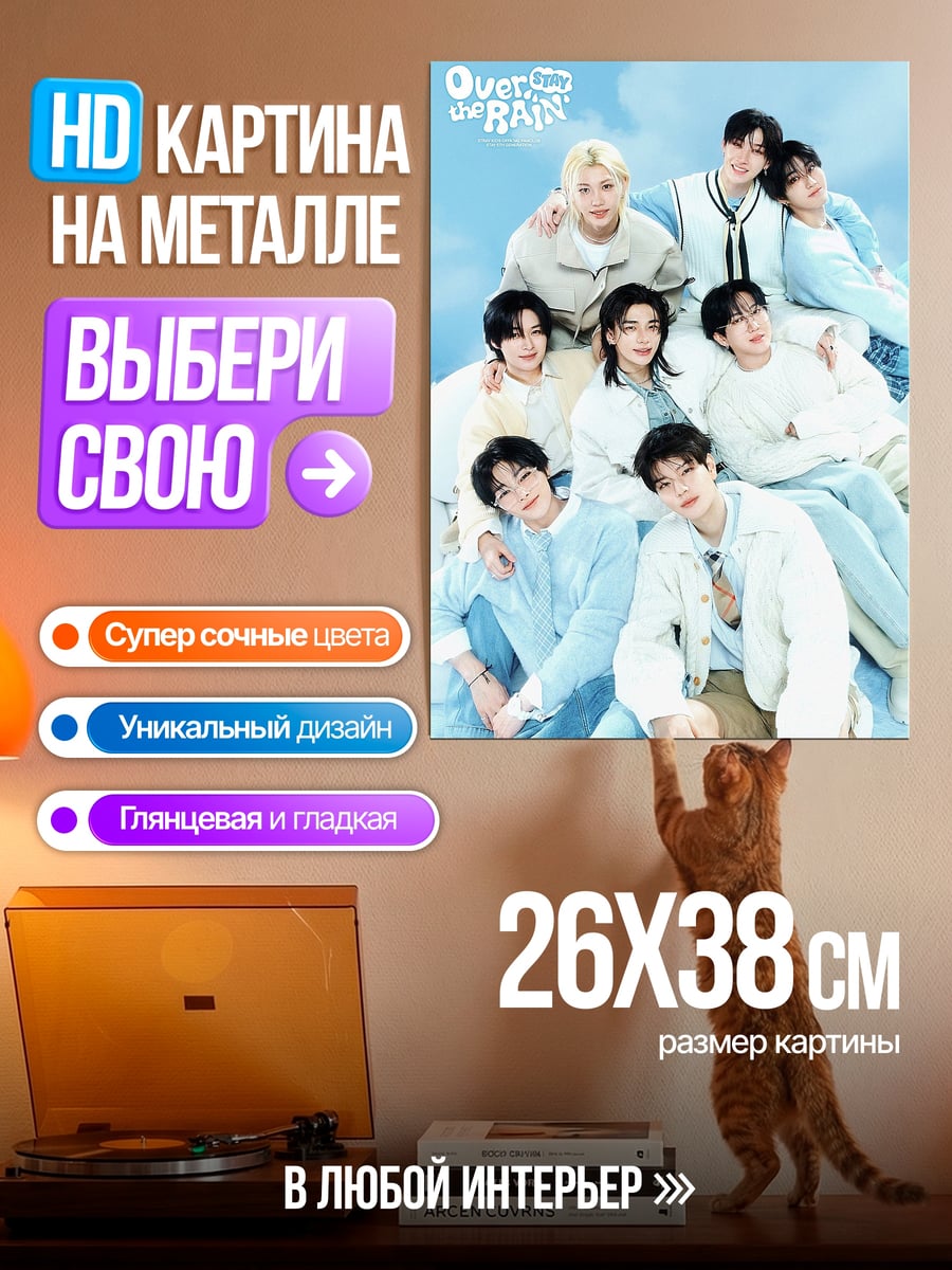 Картина на металле Китти в фартуке