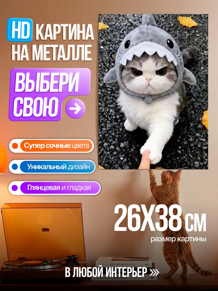 Картина на металле Кот в костюме акулы