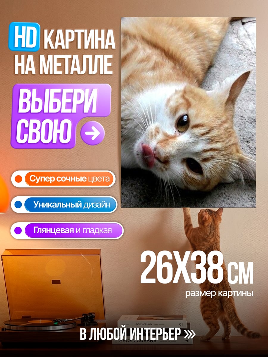 Картина на металле Рыжий кот лежит