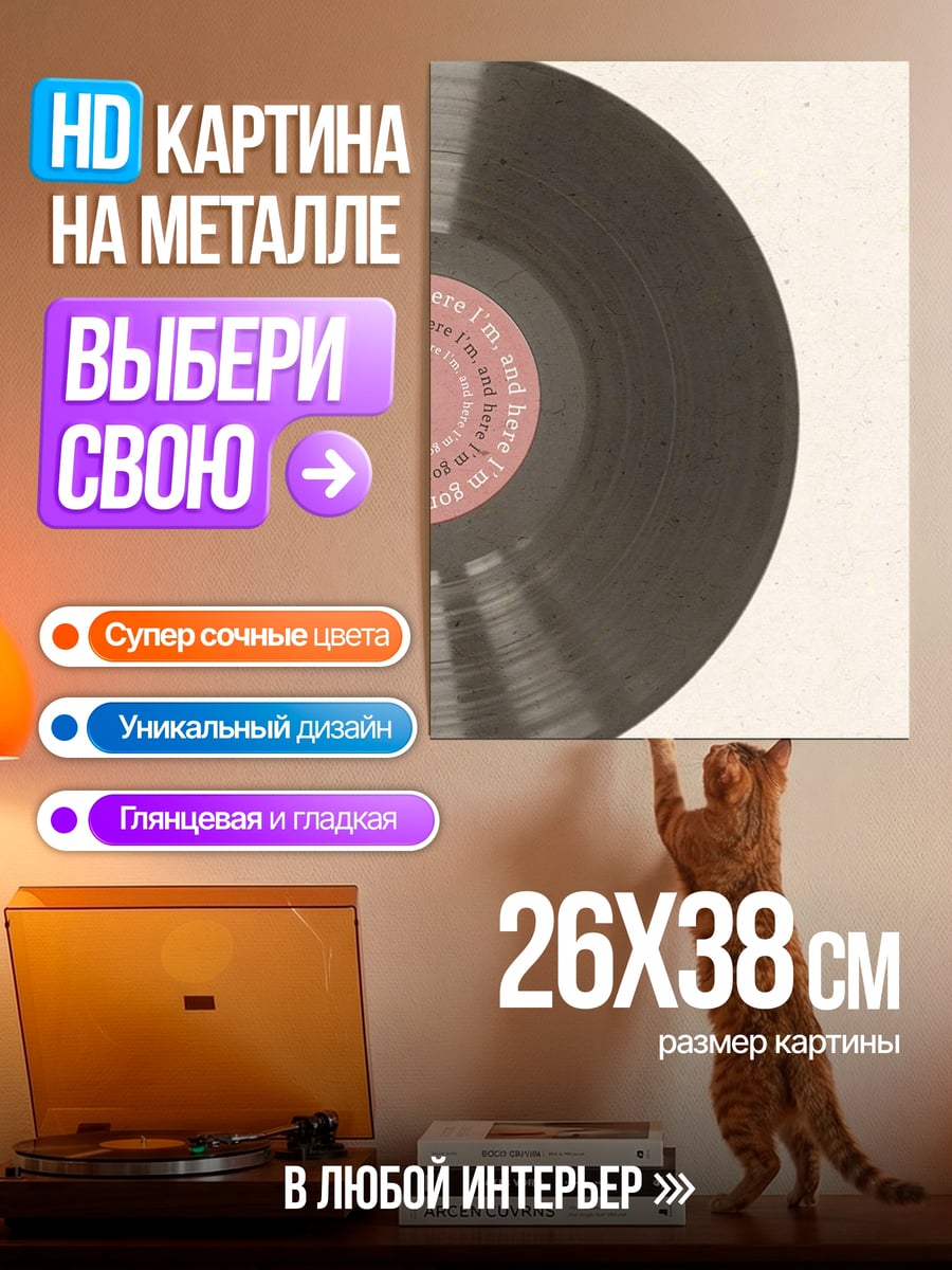 Картина на металле Виниловая пластинка