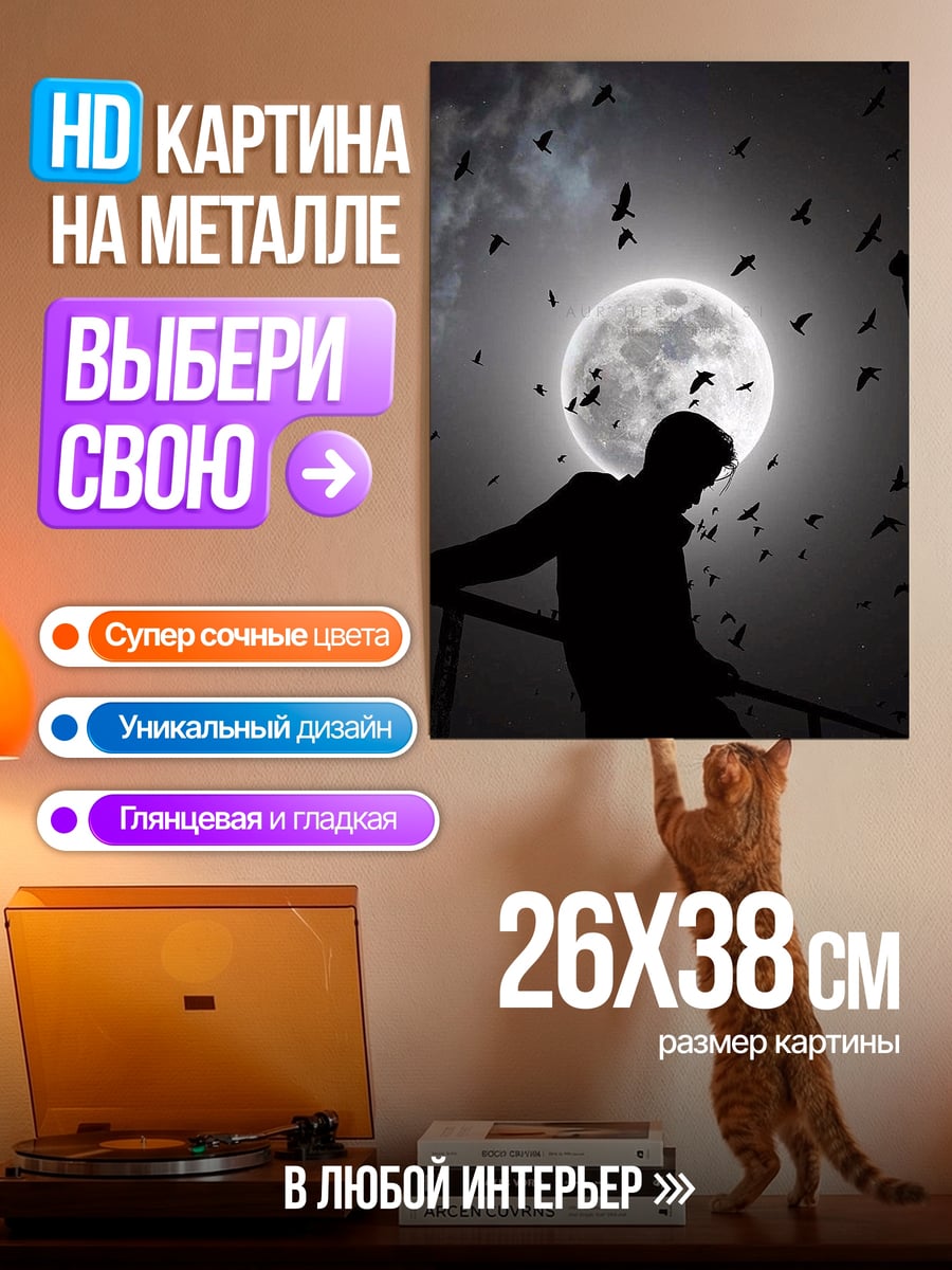 Картина на металле Силуэт парня и птицы
