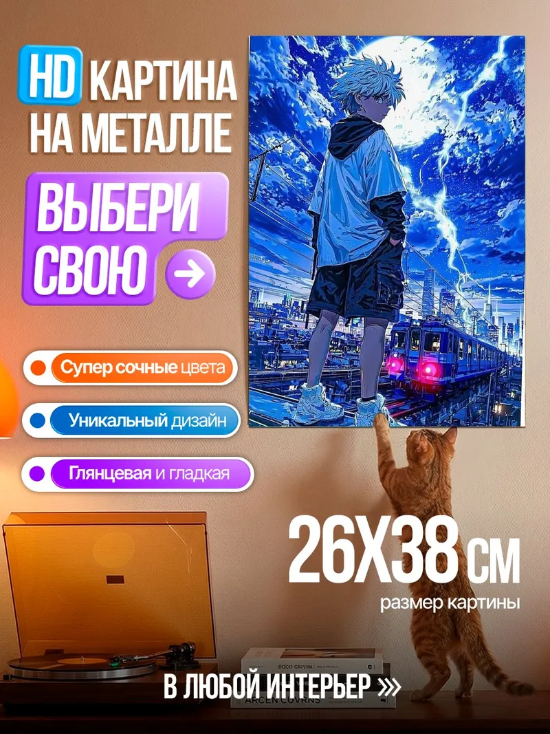 Картина на металле Киллуа Золдик гроза