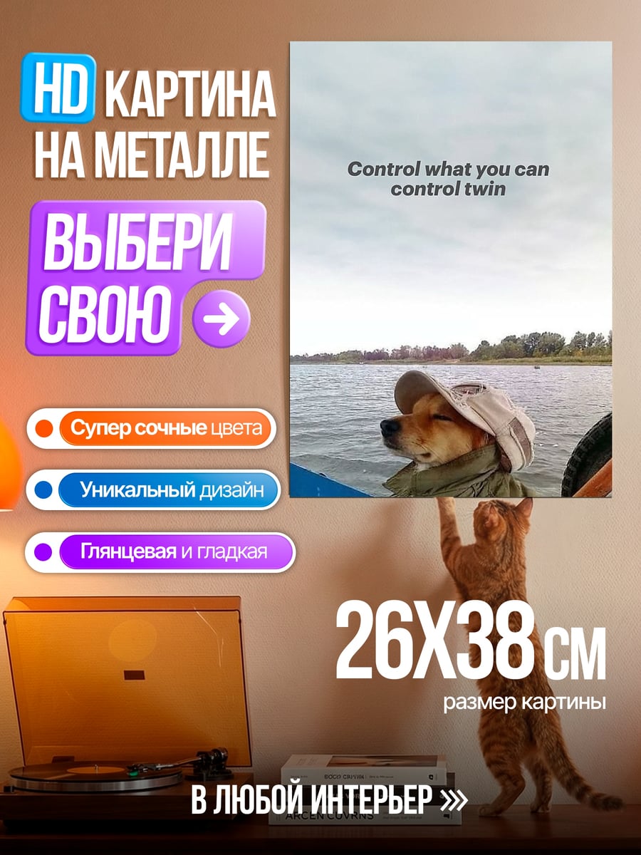 Картина на металле Собака в лодке