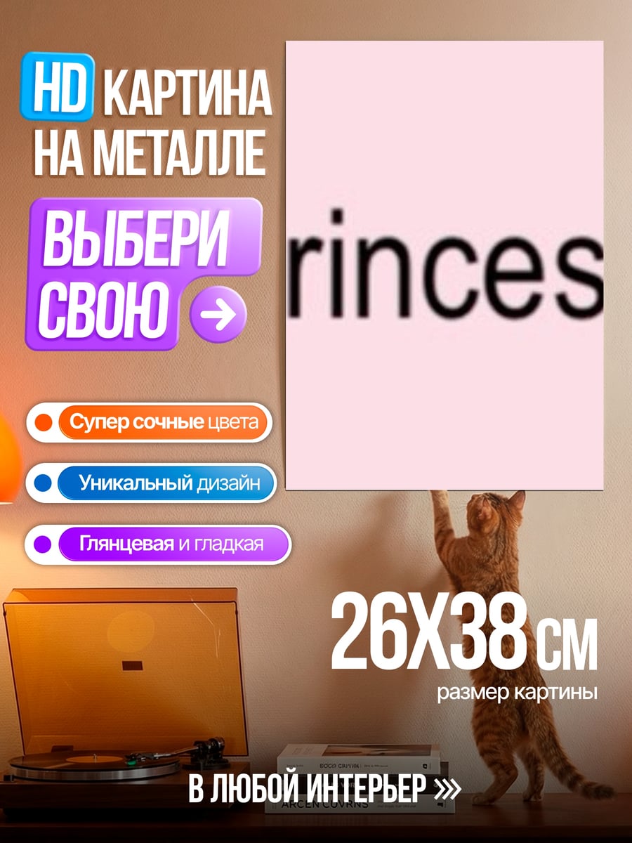 Картина на металле Принцесса