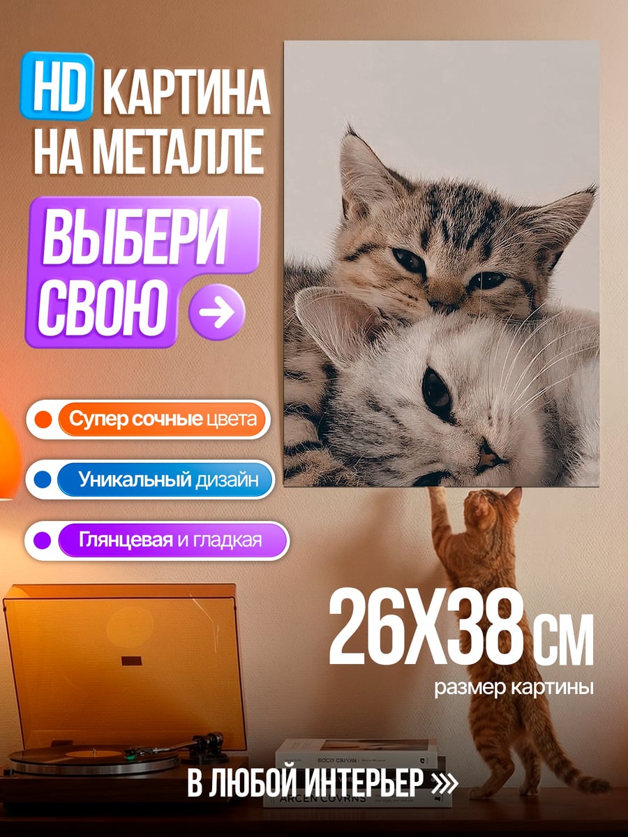 Картина на металле Два спящих котенка