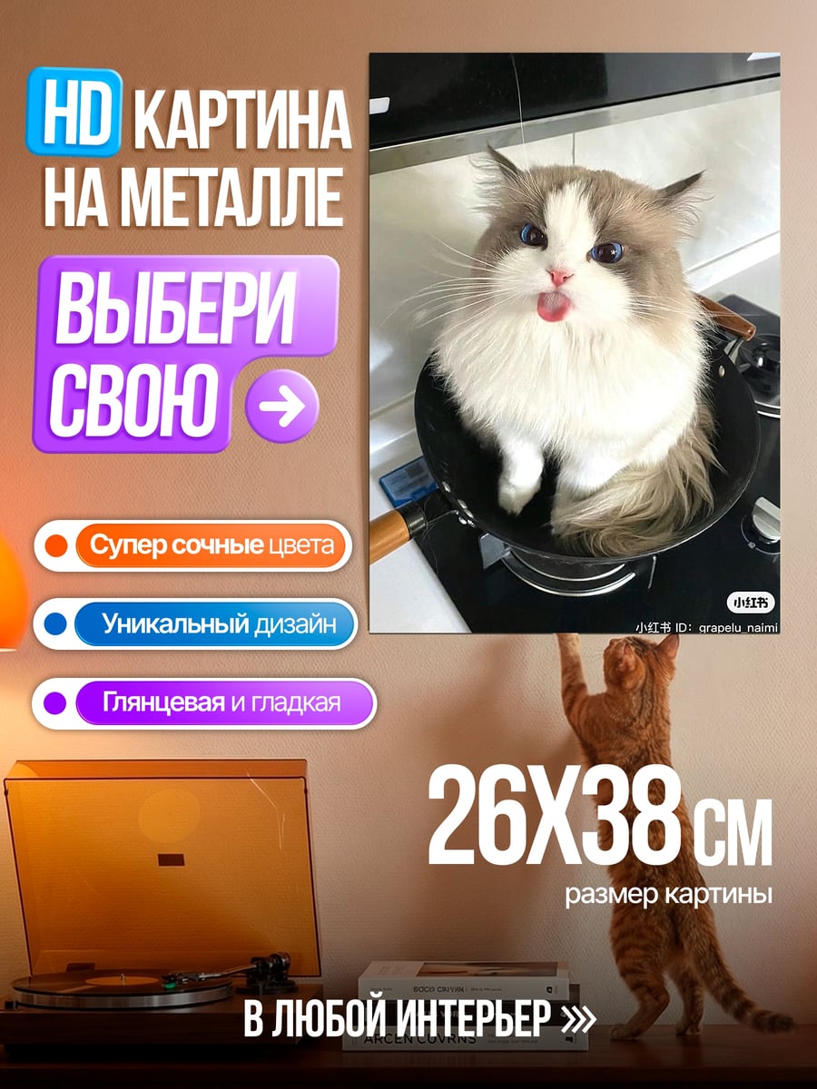 Картина на металле Кот на сковороде