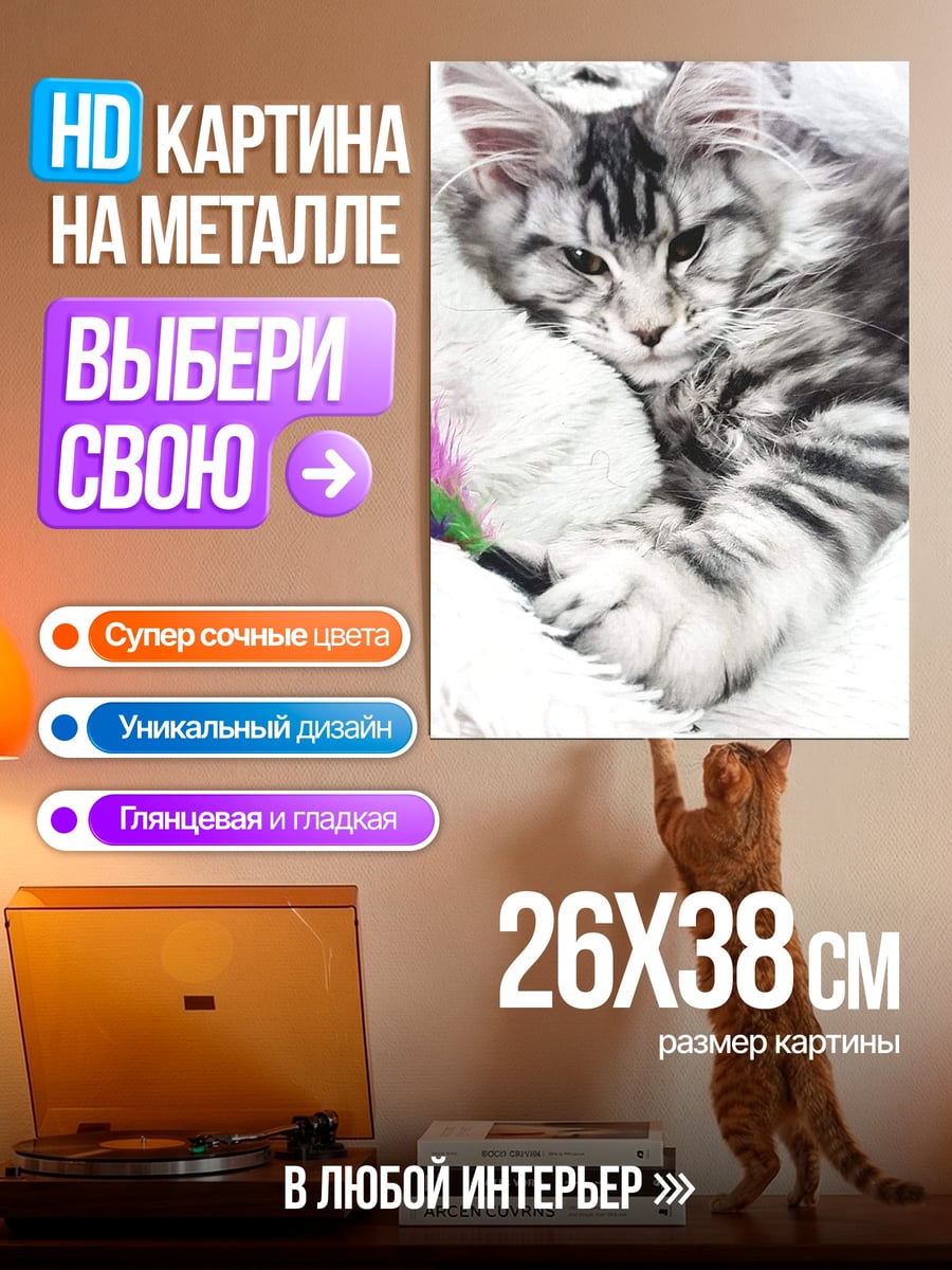 Картина на металле Пушистый кот лежит
