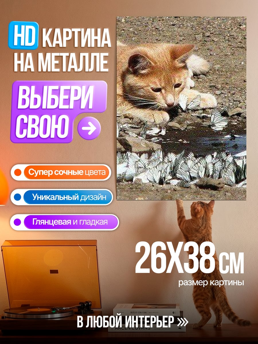 Картина на металле Кот пьет воду