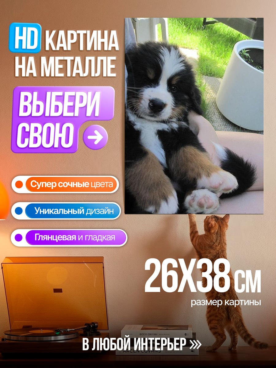 Картина на металле Щенячья любовь