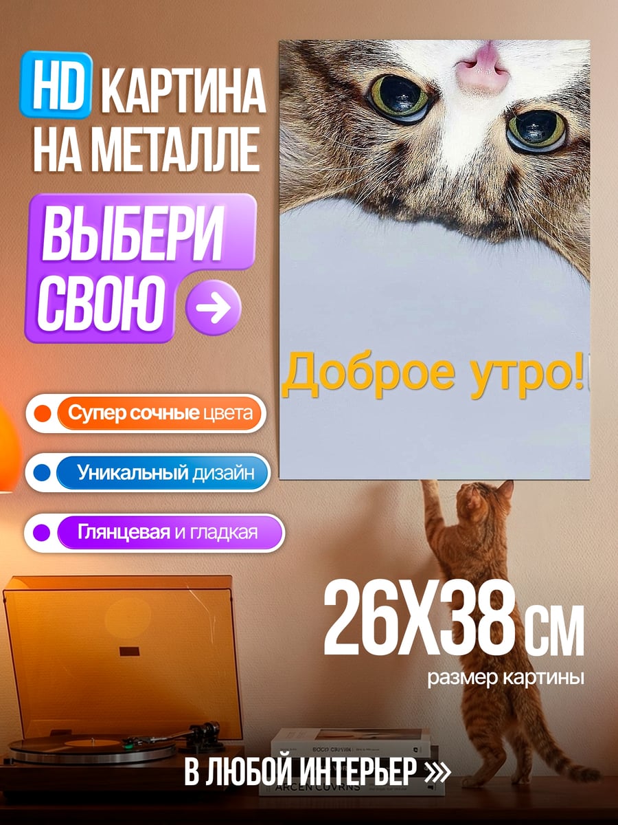 Картина на металле Доброе утро котик