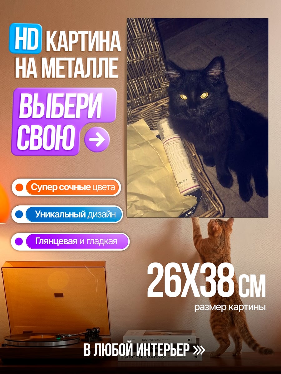 Картина на металле Черный кот светится