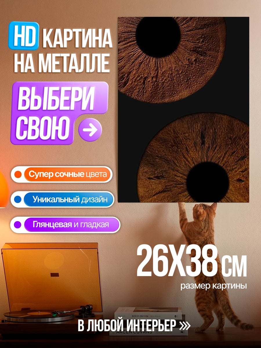 Картина на металле Две радужные радужки