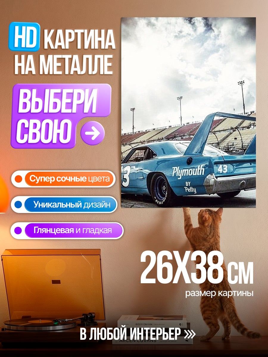Картина на металле Гоночный Plymouth 43