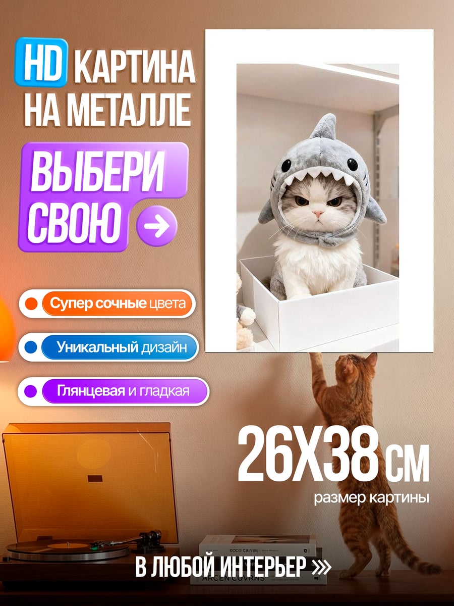 Картина на металле Кот в шапке акулы
