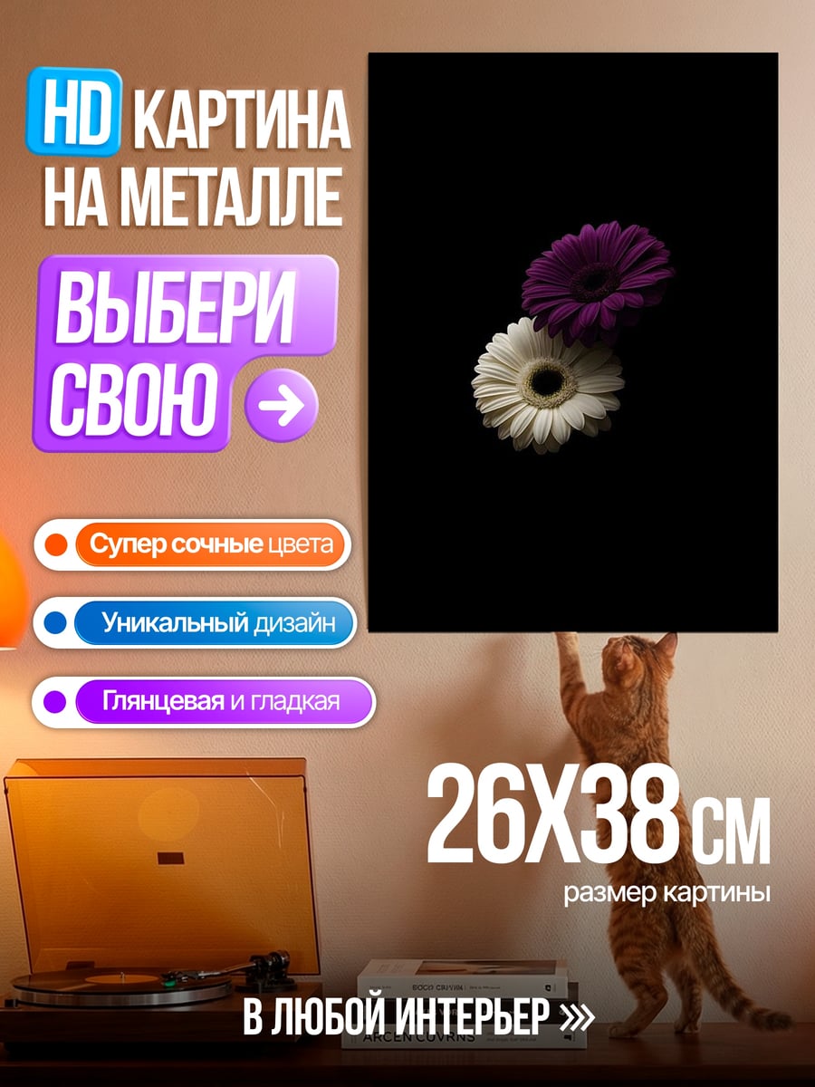 Картина на металле Две герберы на черном