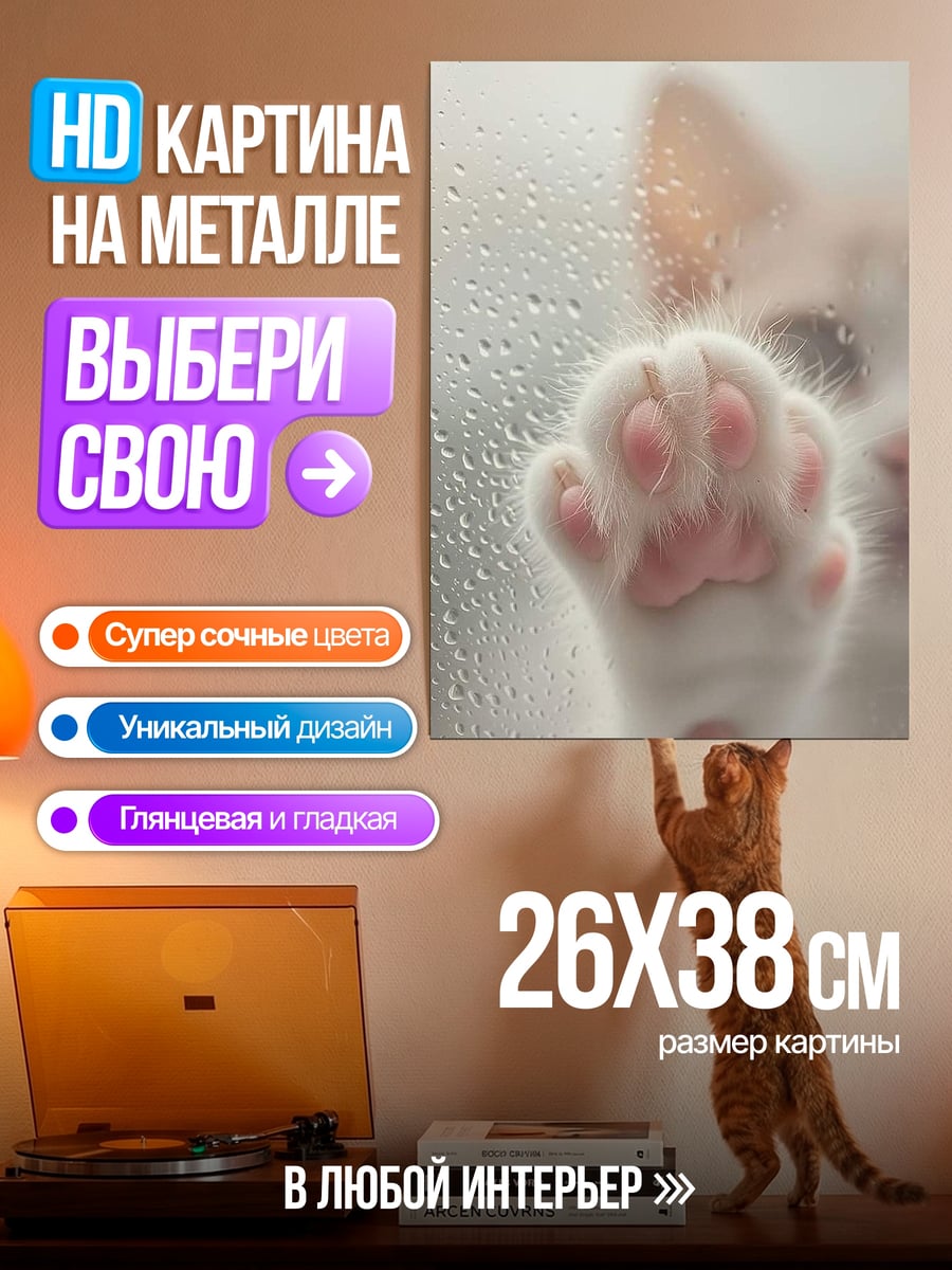 Картина на металле Лапка котенка на стекле