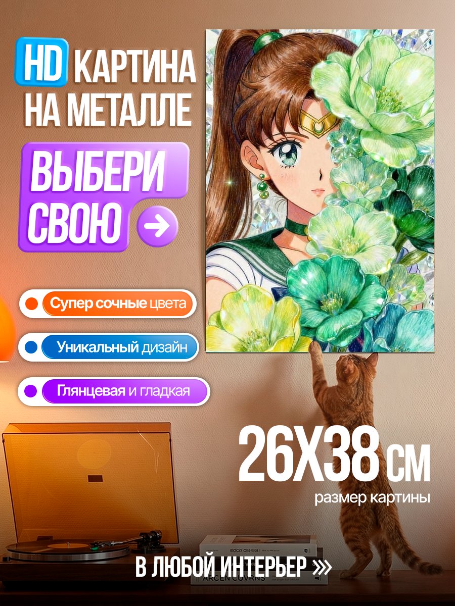 Картина на металле Сейлор Юпитер