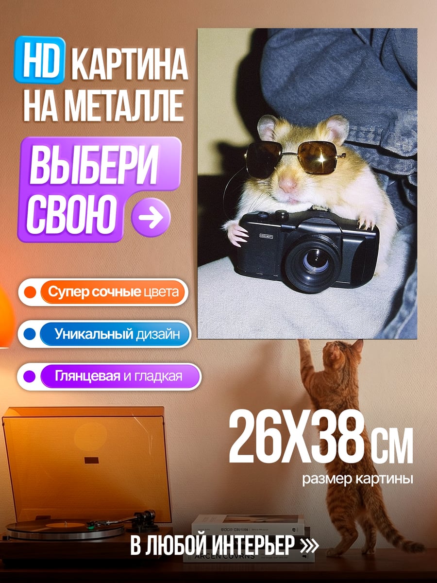 Картина на металле Хомяк фотограф в очках