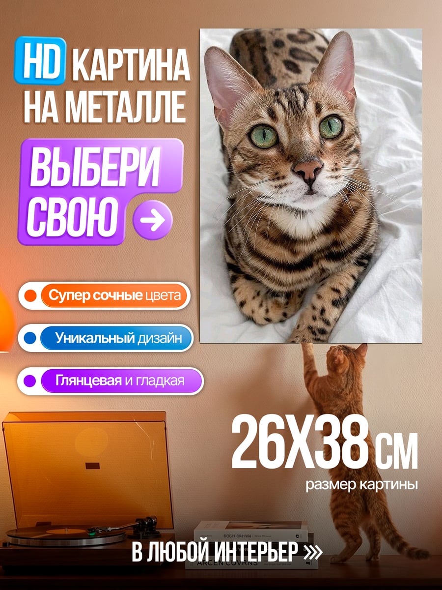 Картина на металле Бенгальский кот