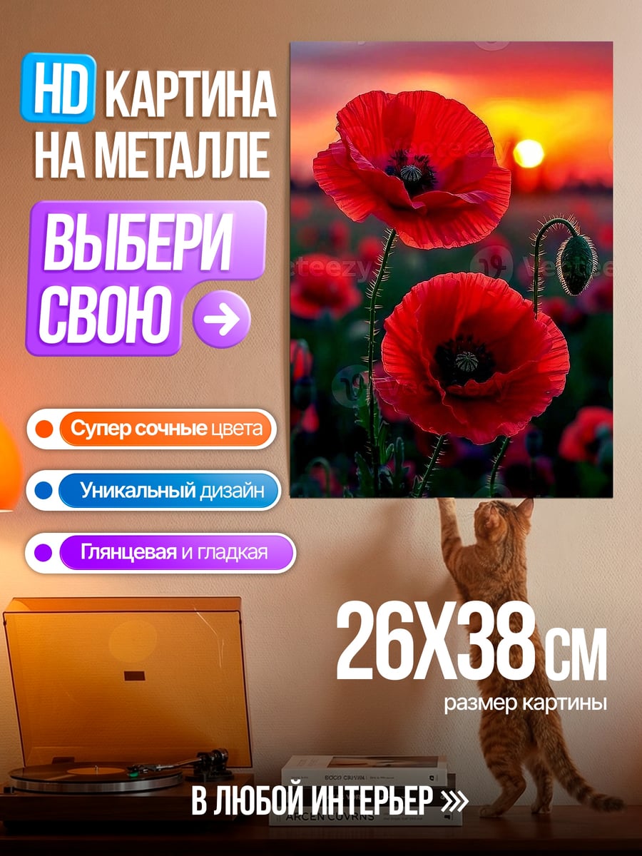 Картина на металле Красные маки на закате