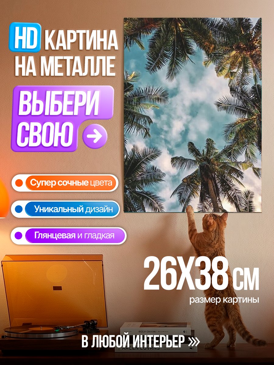 Картина на металле Пальмы на фоне неба