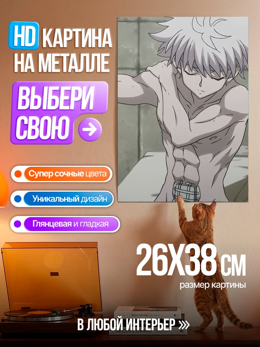 Картина на металле Киллуа