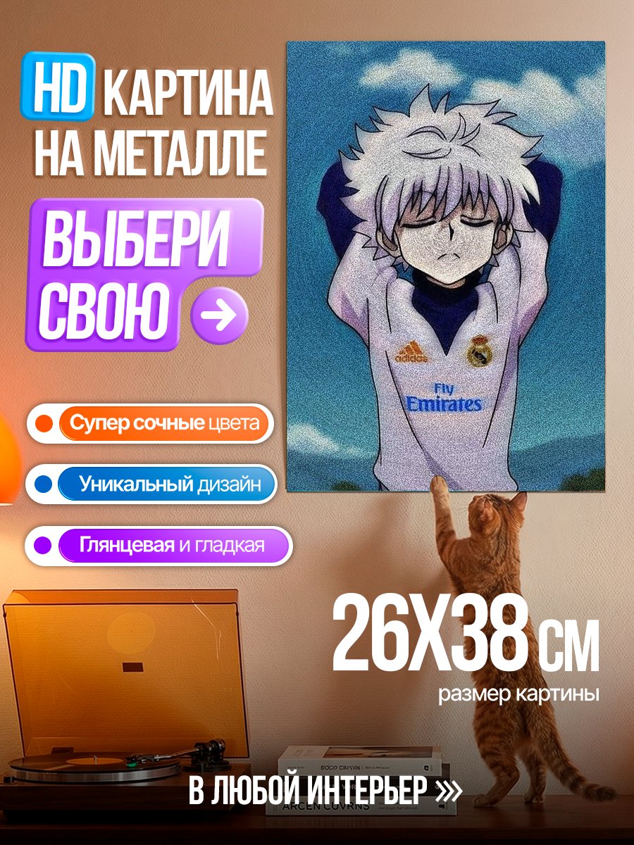 Картина на металле Киллуа Золдик арт