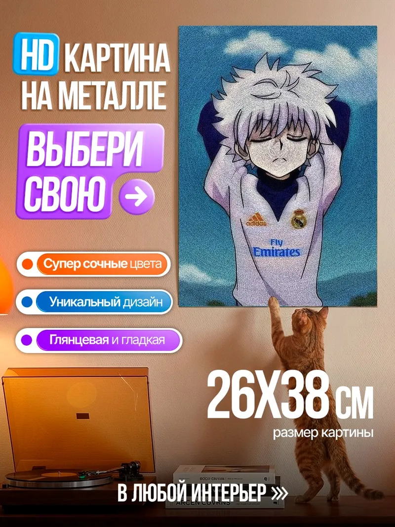 Картина на металле Киллуа Золдик арт