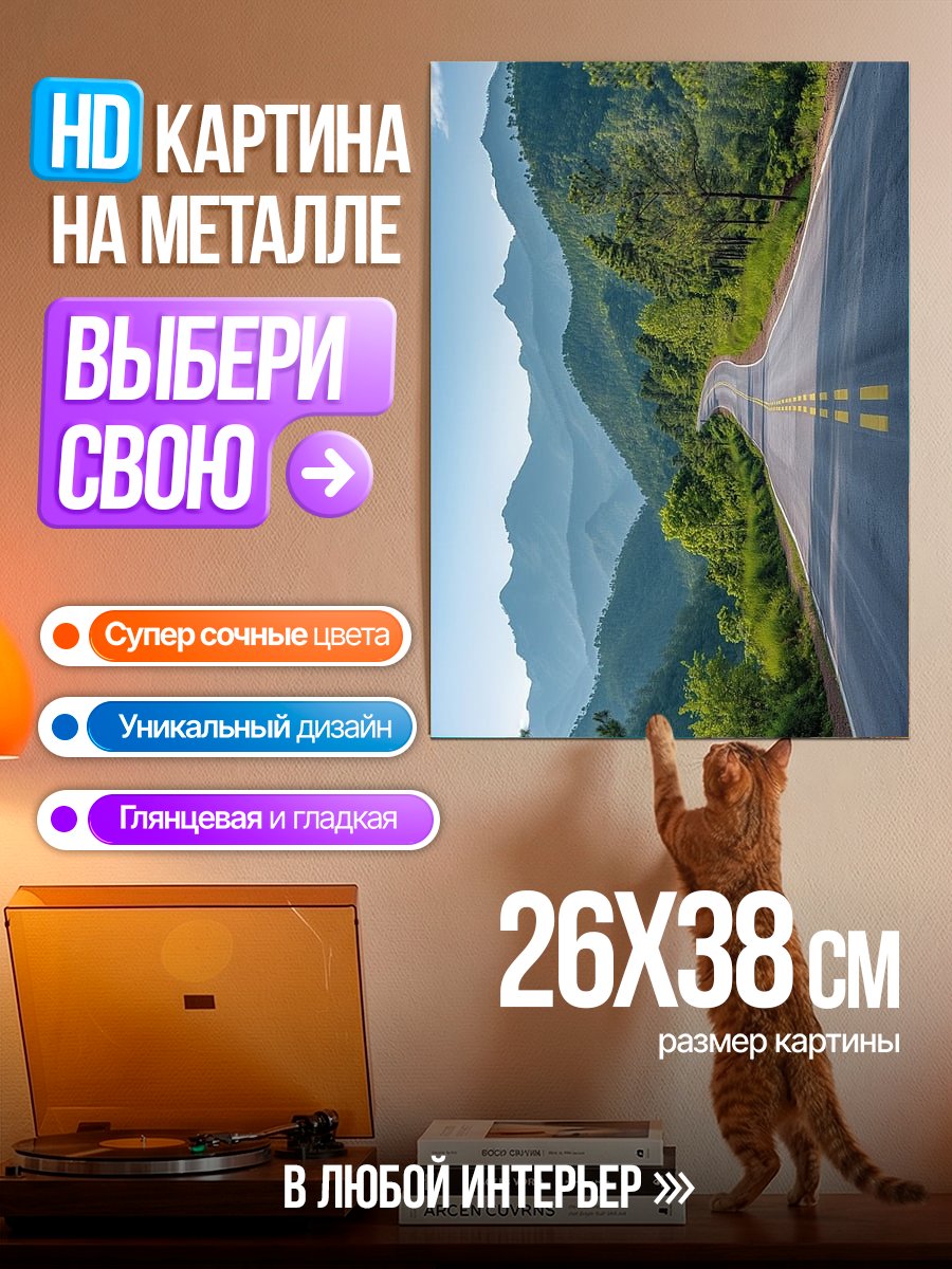 Картина на металле Горная дорога