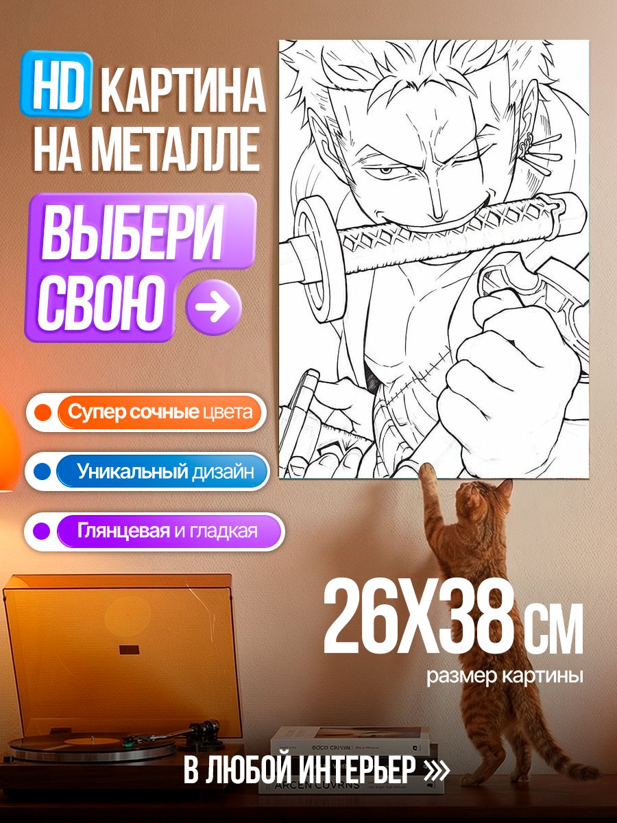 Картина на металле Зоро Один Кусок