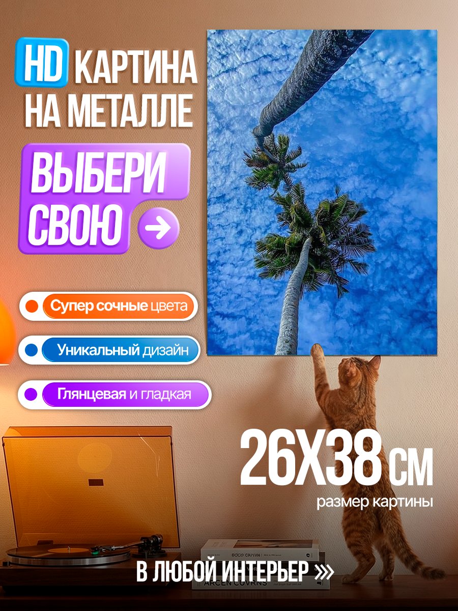 Картина на металле Пальмы под небом