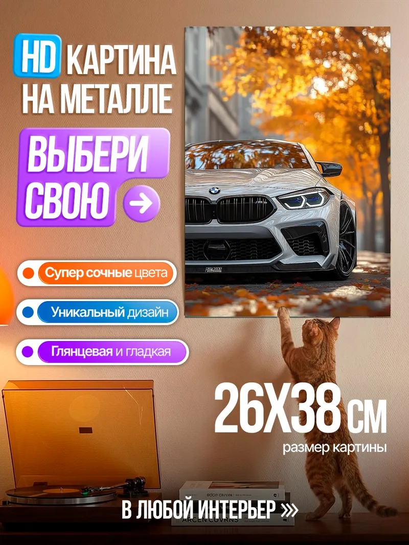 Картина на металле BMW осенний город