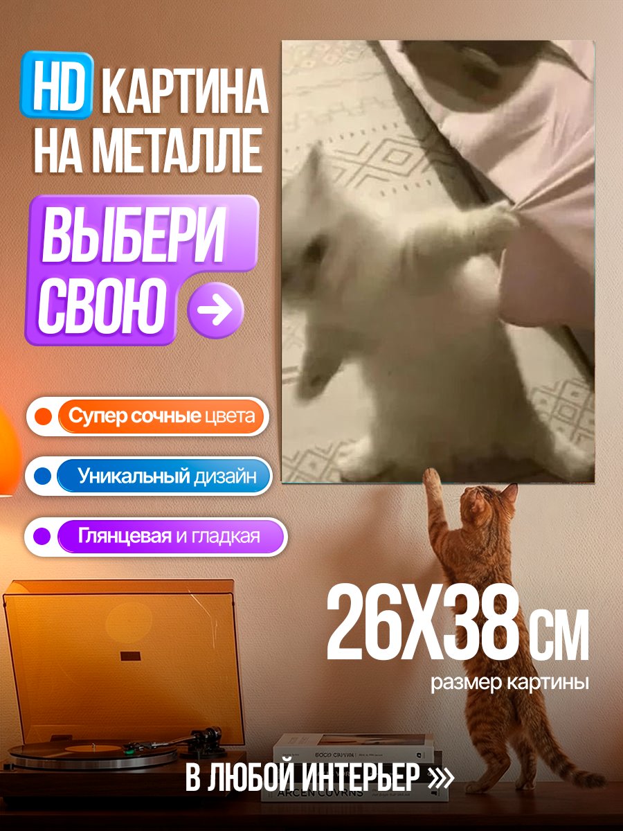Картина на металле Белый котенок играет