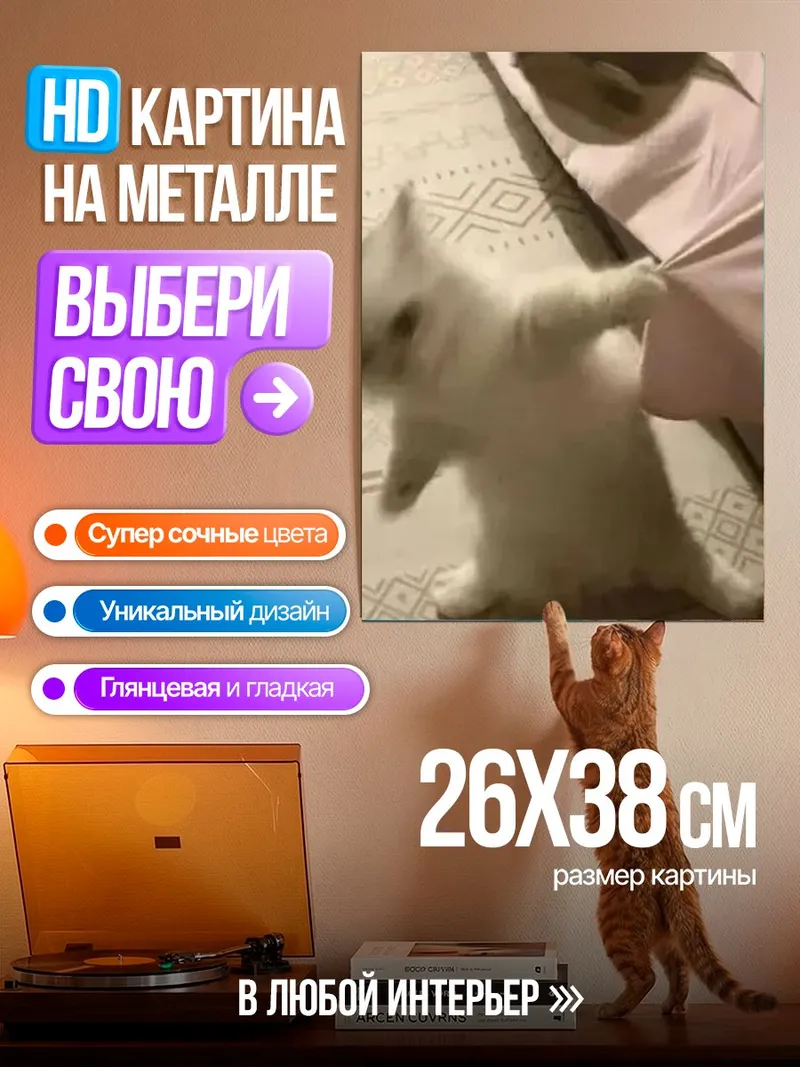 Картина на металле Белый котенок играет