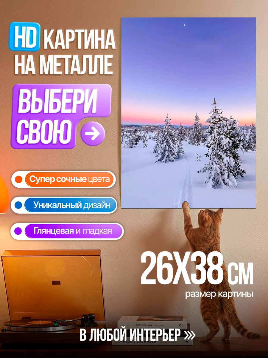 Картина на металле Зимний лес на закате