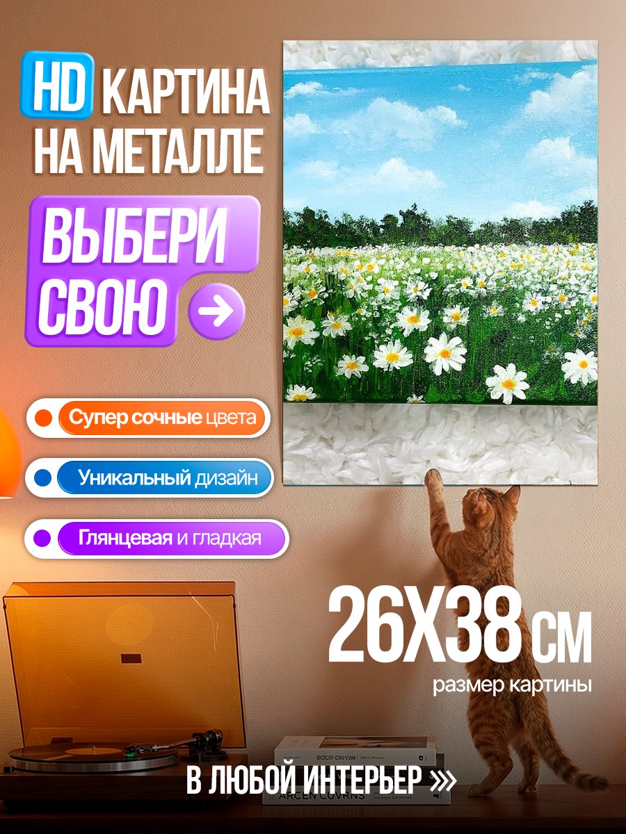 Картина на металле Поле ромашек