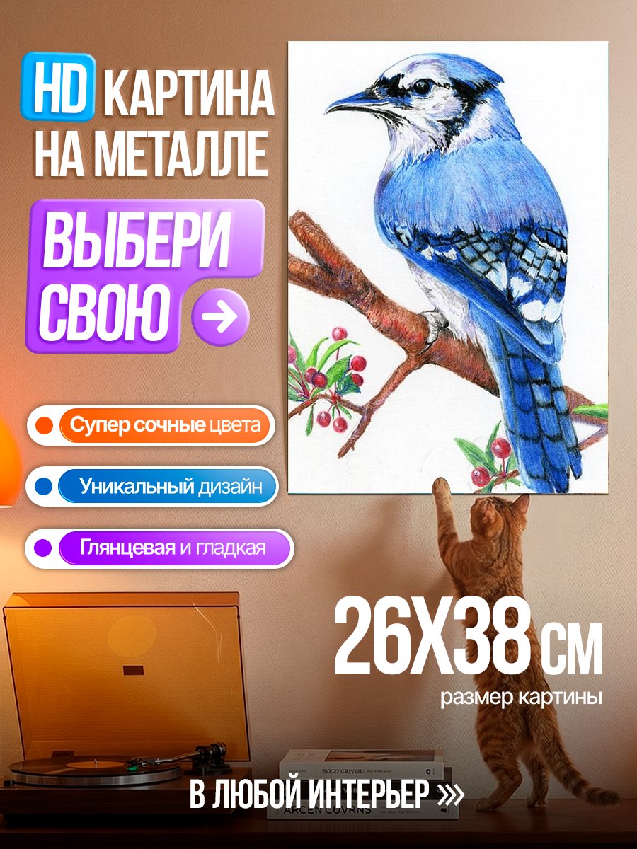 Картина на металле Голубая сойка на ветке