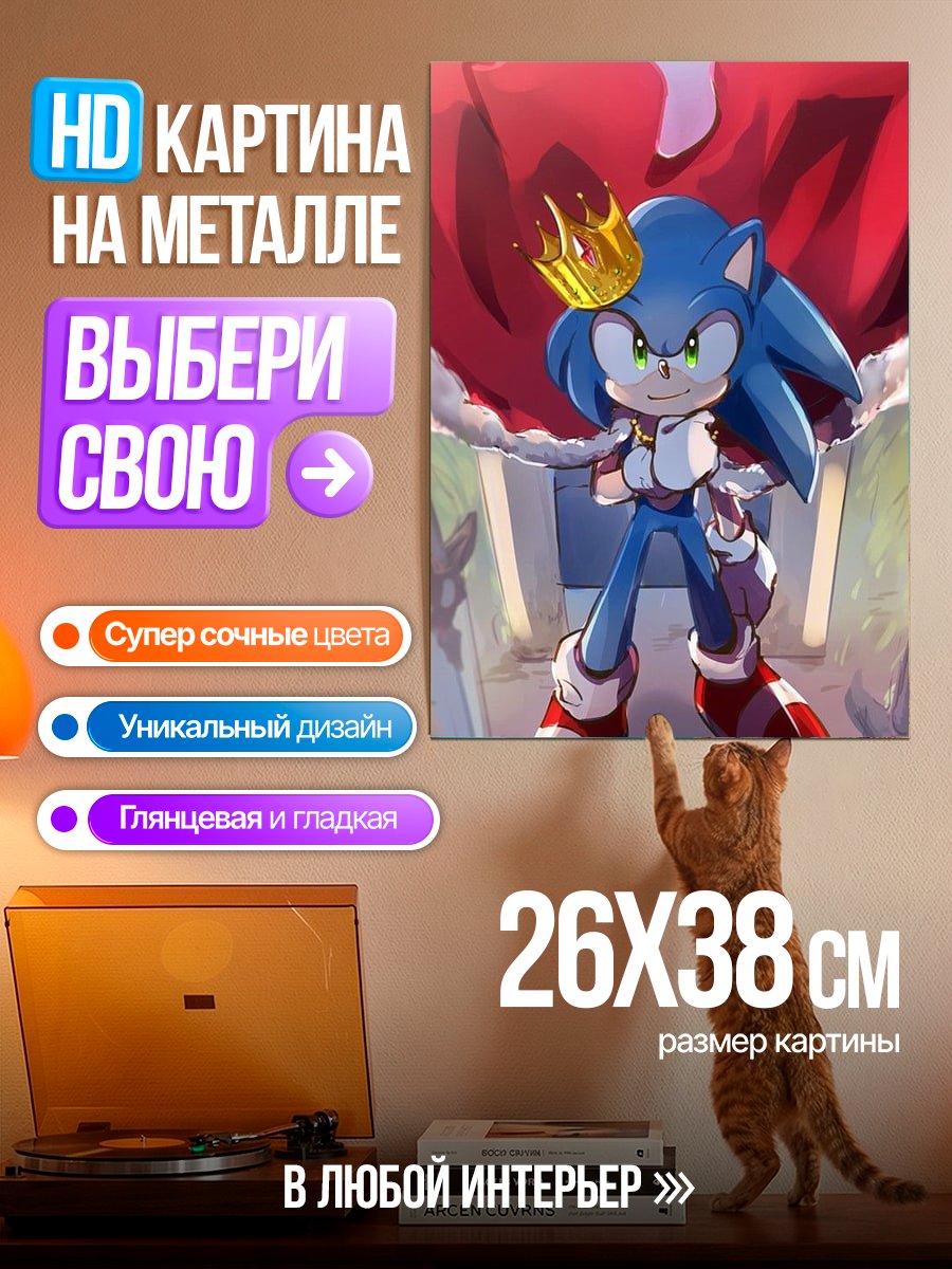 Картина на металле Король Соник ёжик