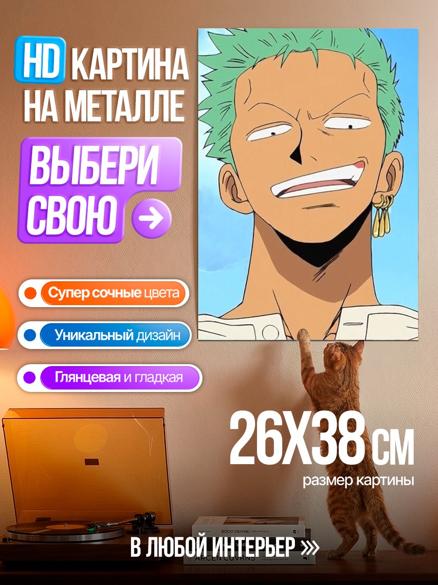 Картина на металле Зоро из Ван Пис