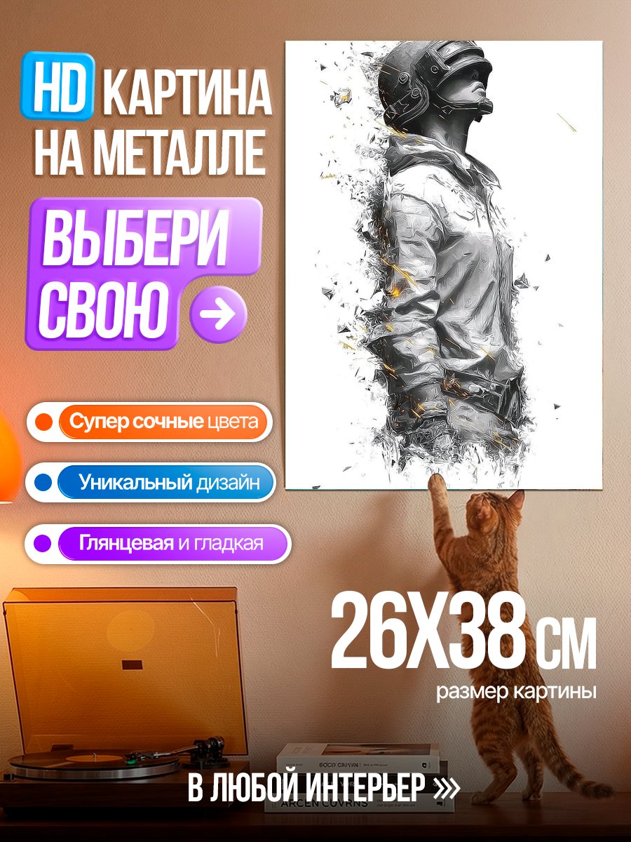 Картина на металле Персонаж PUBG