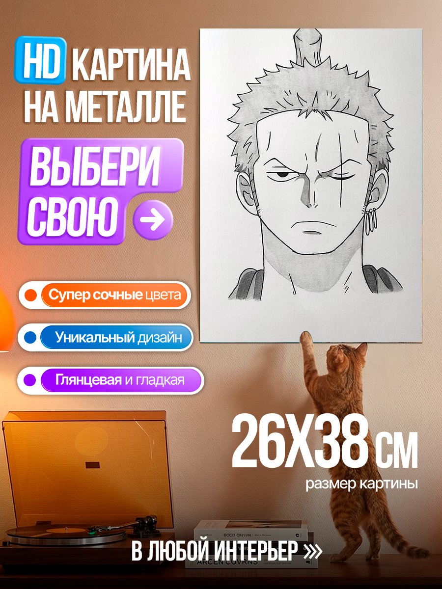 Картина на металле Зоро Рюдзи