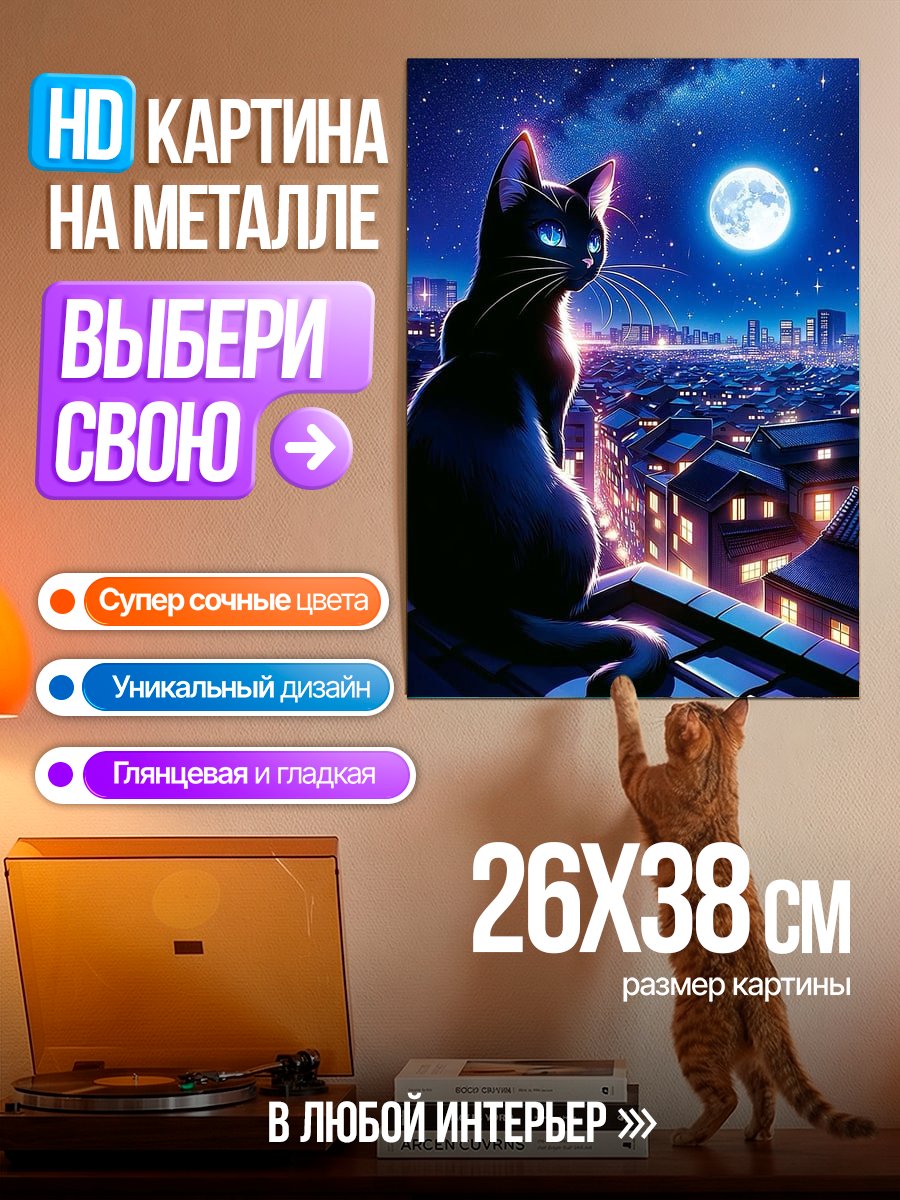 Картина на металле Черная кошка на крыше